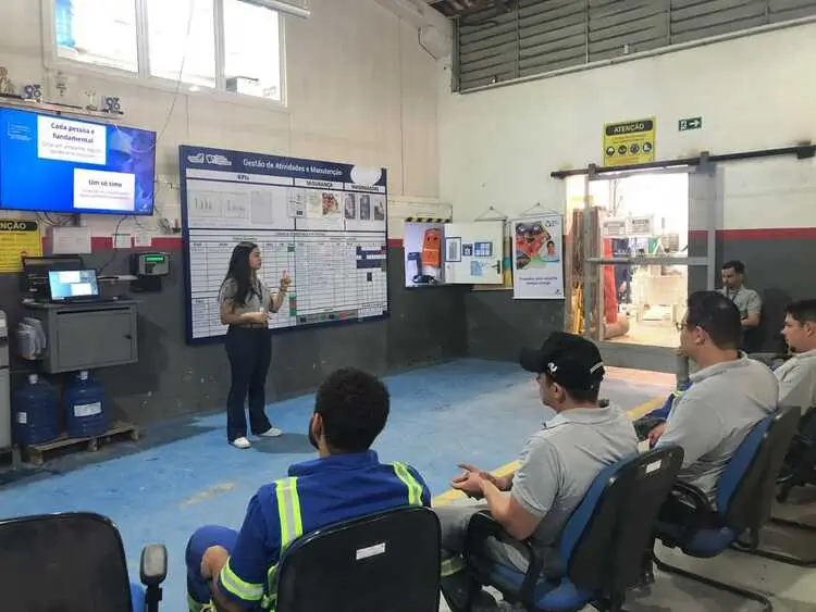 Empresa Pamela Alves Ergonomia Santo André e Região